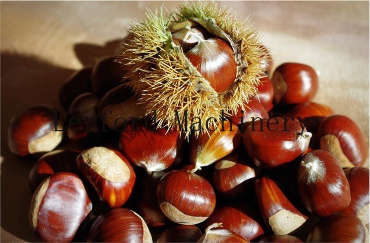 Chestnut Thorn Skin Peeling Machine 