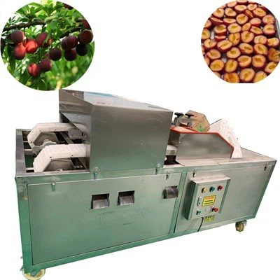 Aszalt szilva kimagozó gép