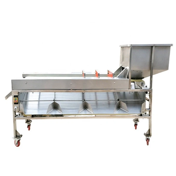 Blueberry Sorter
