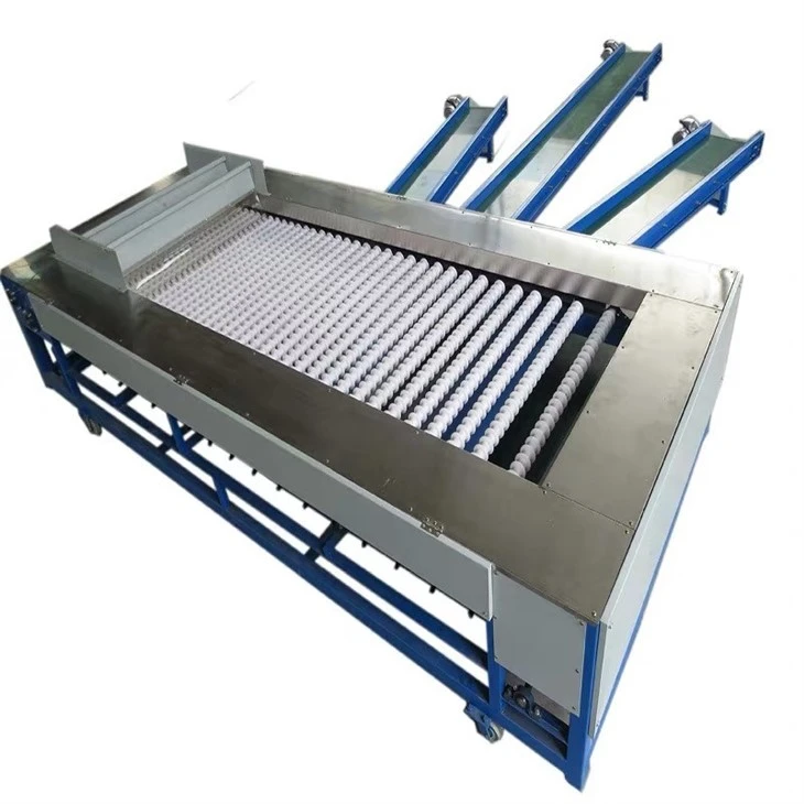 Kiwi Sorting Machines