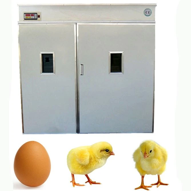 Best Incubator For Turkey Eggs suppliers
